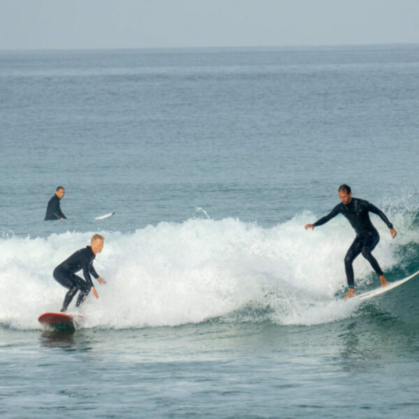 surf Francie