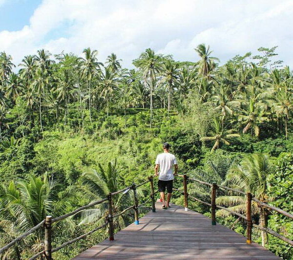 surfkemp Bali