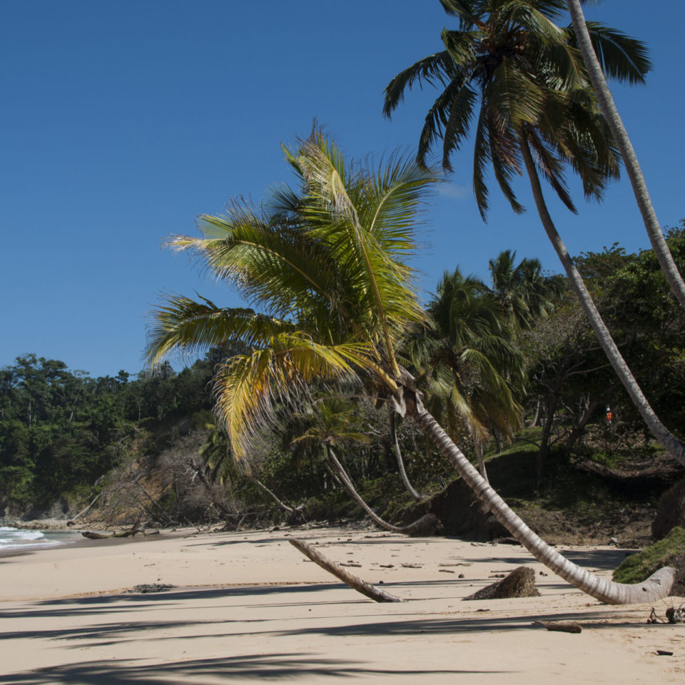 surf v Dominikánské republice