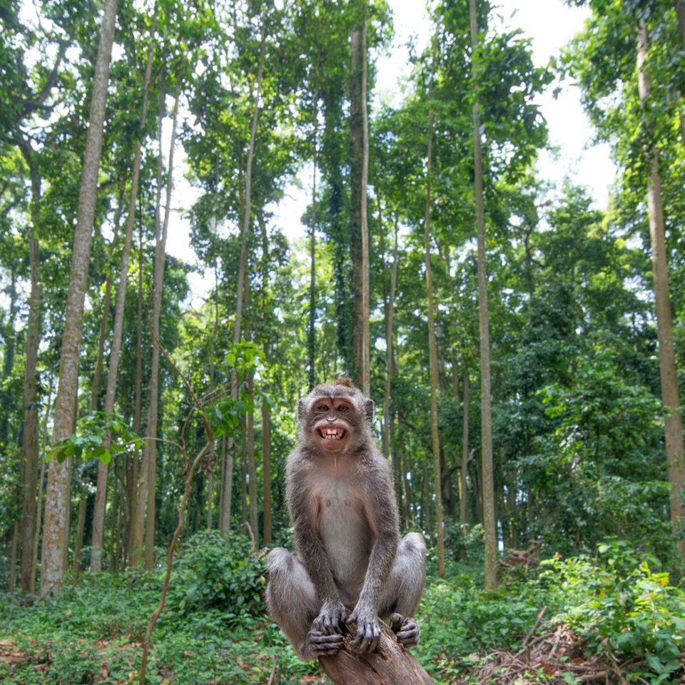 joga na Bali