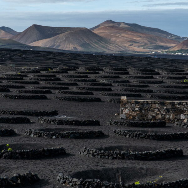 surf Lanzarote